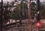 Standbild USA Soldaten Fort Bragg North Carolina USA, 1969, aus Sekunde 13 historischem Filmmaterial Videoclip 65675060241
