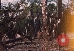 Standbild USA Soldaten Fort Bragg North Carolina USA, 1969, aus Sekunde 15 historischem Filmmaterial Videoclip 65675060241