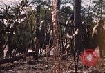Standbild USA Soldaten Fort Bragg North Carolina USA, 1969, aus Sekunde 16 historischem Filmmaterial Videoclip 65675060241
