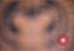 Standbild Wehrpflichtigen der freiwilligen Armee United States USA, 1970, aus Sekunde 7 historischem Filmmaterial Videoclip 65675060245