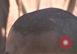 Standbild Wehrpflichtigen der freiwilligen Armee United States USA, 1970, aus Sekunde 38 historischem Filmmaterial Videoclip 65675060250