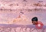 Immagine di Soldati statunitensi Il Vietnam, 1968, secondo 27 filmato di repertorio 65675060255