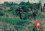 Image République de Corée soldat Phong Phu Saigon Vietnam, 1965, de la seconde 51 séquences d'archives historiques vidéo 65675060258