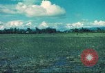 Image République de Corée soldats Phong Phu Saigon Vietnam, 1965, de la seconde 20 séquences d'archives historiques vidéo 65675060259