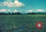 Image République de Corée soldats Phong Phu Saigon Vietnam, 1965, de la seconde 23 séquences d'archives historiques vidéo 65675060259