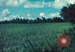 Image République de Corée soldats Phong Phu Saigon Vietnam, 1965, de la seconde 27 séquences d'archives historiques vidéo 65675060259