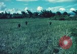 Image République de Corée soldats Phong Phu Saigon Vietnam, 1965, de la seconde 30 séquences d'archives historiques vidéo 65675060259