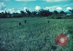 Image République de Corée soldats Phong Phu Saigon Vietnam, 1965, de la seconde 31 séquences d'archives historiques vidéo 65675060259