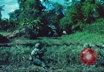 Image République de Corée soldats Phong Phu Saigon Vietnam, 1965, de la seconde 42 séquences d'archives historiques vidéo 65675060259