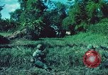 Image République de Corée soldats Phong Phu Saigon Vietnam, 1965, de la seconde 44 séquences d'archives historiques vidéo 65675060259