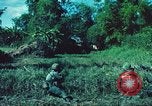 Image République de Corée soldats Phong Phu Saigon Vietnam, 1965, de la seconde 46 séquences d'archives historiques vidéo 65675060259