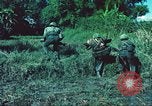 Image République de Corée soldats Phong Phu Saigon Vietnam, 1965, de la seconde 48 séquences d'archives historiques vidéo 65675060259