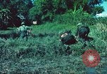 Image République de Corée soldats Phong Phu Saigon Vietnam, 1965, de la seconde 49 séquences d'archives historiques vidéo 65675060259