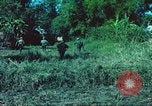 Image République de Corée soldats Phong Phu Saigon Vietnam, 1965, de la seconde 53 séquences d'archives historiques vidéo 65675060259
