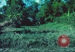 Image République de Corée soldats Phong Phu Saigon Vietnam, 1965, de la seconde 60 séquences d'archives historiques vidéo 65675060259