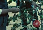 Standbild USA Soldaten Saigon Vietnam, 1965, aus Sekunde 46 historischem Filmmaterial Videoclip 65675060260