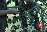 Standbild USA Soldaten Saigon Vietnam, 1965, aus Sekunde 47 historischem Filmmaterial Videoclip 65675060260