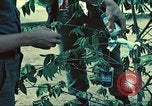 Standbild USA Soldaten Saigon Vietnam, 1965, aus Sekunde 48 historischem Filmmaterial Videoclip 65675060260