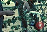 Standbild USA Soldaten Saigon Vietnam, 1965, aus Sekunde 50 historischem Filmmaterial Videoclip 65675060260