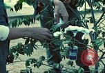 Standbild USA Soldaten Saigon Vietnam, 1965, aus Sekunde 53 historischem Filmmaterial Videoclip 65675060260