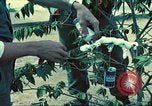 Standbild USA Soldaten Saigon Vietnam, 1965, aus Sekunde 56 historischem Filmmaterial Videoclip 65675060260