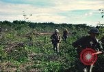 Standbild USA Soldaten Saigon Vietnam Cu Chi, 1966, aus Sekunde 15 historischem Filmmaterial Videoclip 65675060262
