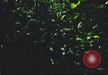 Standbild USA Soldaten Saigon Vietnam Cu Chi, 1966, aus Sekunde 30 historischem Filmmaterial Videoclip 65675060262