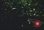 Standbild USA Soldaten Saigon Vietnam Cu Chi, 1966, aus Sekunde 31 historischem Filmmaterial Videoclip 65675060262