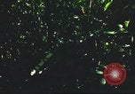 Standbild USA Soldaten Saigon Vietnam Cu Chi, 1966, aus Sekunde 32 historischem Filmmaterial Videoclip 65675060262