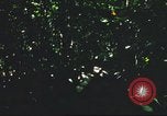 Standbild USA Soldaten Saigon Vietnam Cu Chi, 1966, aus Sekunde 33 historischem Filmmaterial Videoclip 65675060262