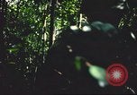 Standbild USA Soldaten Saigon Vietnam Cu Chi, 1966, aus Sekunde 38 historischem Filmmaterial Videoclip 65675060262