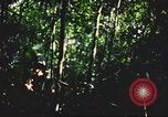 Standbild USA Soldaten Saigon Vietnam Cu Chi, 1966, aus Sekunde 40 historischem Filmmaterial Videoclip 65675060262