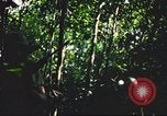 Standbild USA Soldaten Saigon Vietnam Cu Chi, 1966, aus Sekunde 43 historischem Filmmaterial Videoclip 65675060262