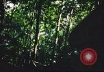 Standbild USA Soldaten Saigon Vietnam Cu Chi, 1966, aus Sekunde 47 historischem Filmmaterial Videoclip 65675060262