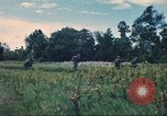 Immagine di Soldati statunitensi Saigon Vietnam Cu Chi, 1966, secondo 41 filmato di repertorio 65675060264