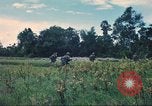 Immagine di Soldati statunitensi Saigon Vietnam Cu Chi, 1966, secondo 43 filmato di repertorio 65675060264