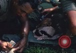 Immagine di Soldati statunitensi Saigon Vietnam Cu Chi, 1966, secondo 29 filmato di repertorio 65675060265