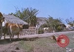 Immagine di Gli abitanti di un villaggio vietnamita Tan Tru Vietnam, 1967, secondo 8 filmato di repertorio 65675060270