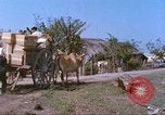 Immagine di Gli abitanti di un villaggio vietnamita Tan Tru Vietnam, 1967, secondo 10 filmato di repertorio 65675060270