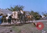 Immagine di Gli abitanti di un villaggio vietnamita Tan Tru Vietnam, 1967, secondo 12 filmato di repertorio 65675060270