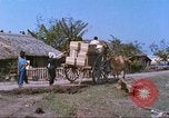 Immagine di Gli abitanti di un villaggio vietnamita Tan Tru Vietnam, 1967, secondo 13 filmato di repertorio 65675060270
