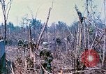 Standbild 1 Infanterie Division Vietnam, 1968, aus Sekunde 40 historischem Filmmaterial Videoclip 65675060281