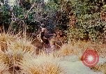 Image of 1st Infantry Division soldiers Vietnam, 1968, second 12 stock footage video 65675060283