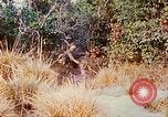 Image of 1st Infantry Division soldiers Vietnam, 1968, second 13 stock footage video 65675060283