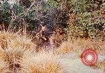 Image of 1st Infantry Division soldiers Vietnam, 1968, second 14 stock footage video 65675060283