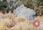 Image of 1st Infantry Division soldiers Vietnam, 1968, second 16 stock footage video 65675060283