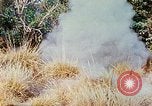 Image of 1st Infantry Division soldiers Vietnam, 1968, second 17 stock footage video 65675060283