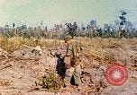 Image of 1st Infantry Division soldiers Vietnam, 1968, second 37 stock footage video 65675060284