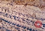 Image of 1st Infantry Division soldiers Vietnam, 1968, second 52 stock footage video 65675060284