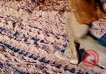 Image of 1st Infantry Division soldiers Vietnam, 1968, second 53 stock footage video 65675060284